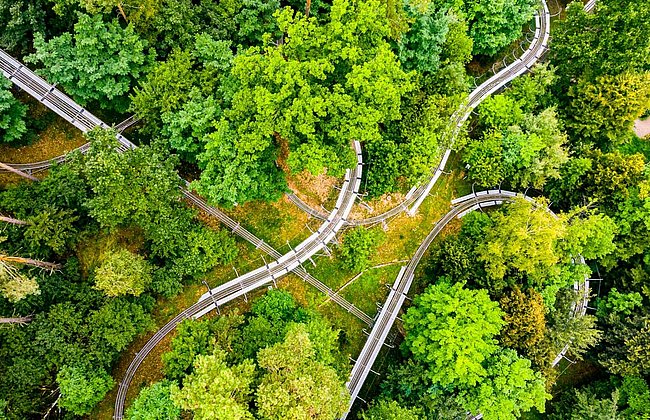 Sommerrodelbahn Scharmützelbob Bad Saarow Fürstenwalde Branden